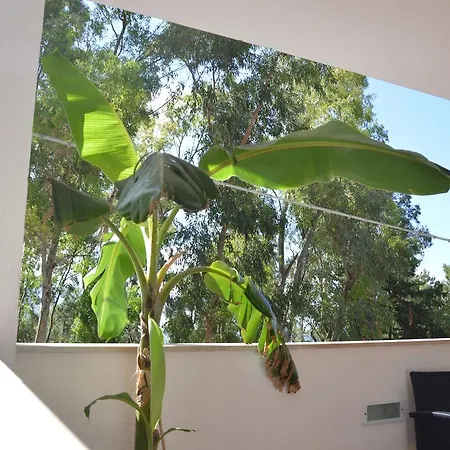 Holiday home Casa Annibale Addaura *