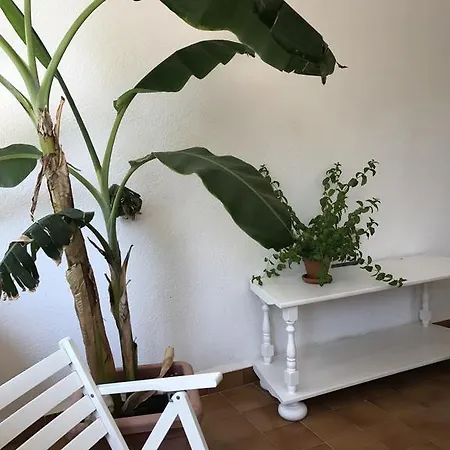 Casa Annibale Addaura Hébergement de vacances *